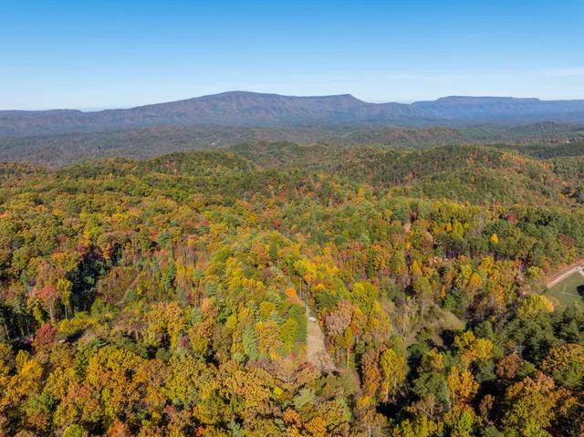 $375,000 | 785 Chestnut Mountain Road, Reliance, TN 37369