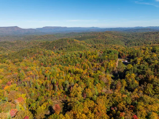 $375,000 | 785 Chestnut Mountain Road, Reliance, TN 37369