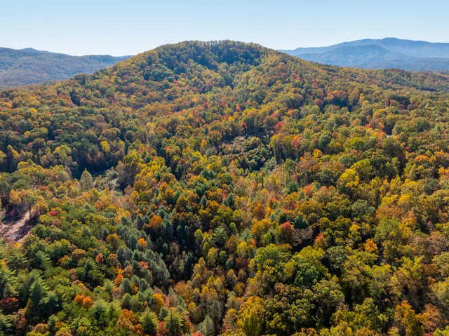 $375,000 | 785 Chestnut Mountain Road, Reliance, TN 37369