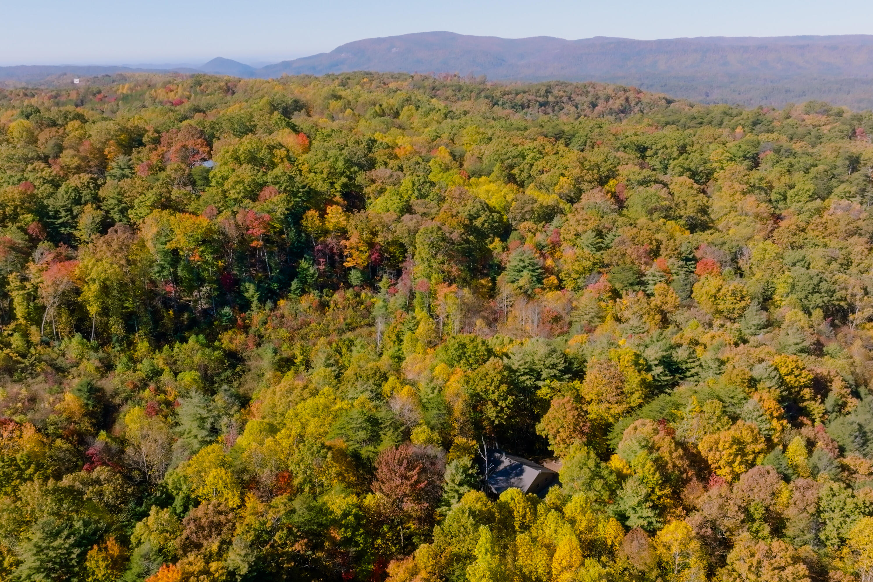 785 Chestnut Mountain Road Reliance, TN 37369 - Photo 61 of 68 785-Chestnut-Mountain-Rd-High-Res-Photos