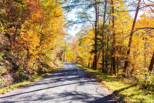 $375,000 | 785 Chestnut Mountain Road, Reliance, TN 37369