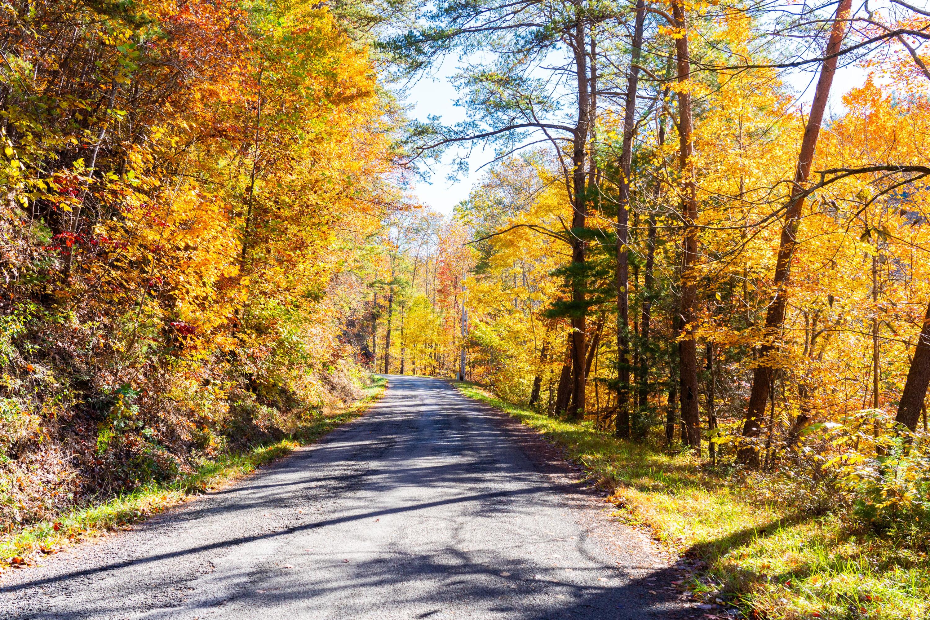 785 Chestnut Mountain Road Reliance, TN 37369 - Photo 63 of 68 785-Chestnut-Mountain-Rd-High-Res-Photos