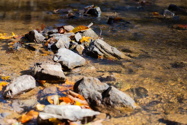 $375,000 | 785 Chestnut Mountain Road, Reliance, TN 37369