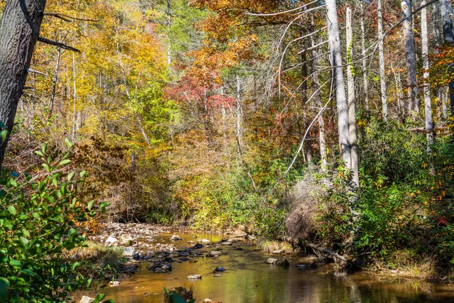 $375,000 | 785 Chestnut Mountain Road, Reliance, TN 37369