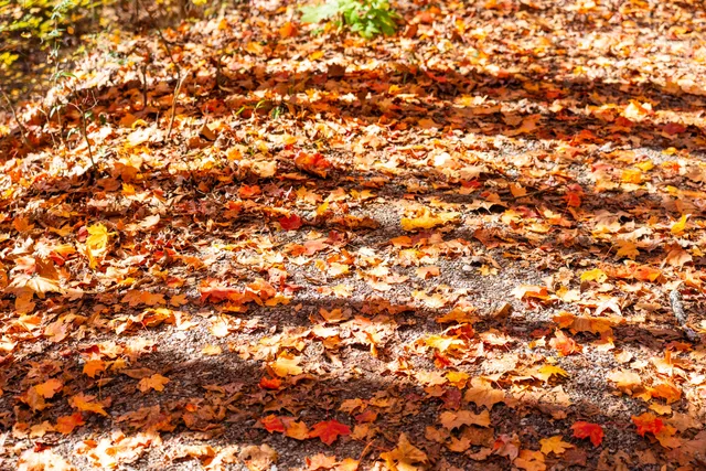 $375,000 | 785 Chestnut Mountain Road, Reliance, TN 37369