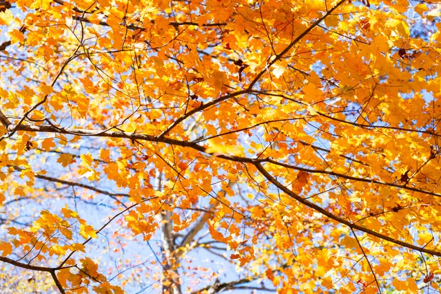 $375,000 | 785 Chestnut Mountain Road, Reliance, TN 37369