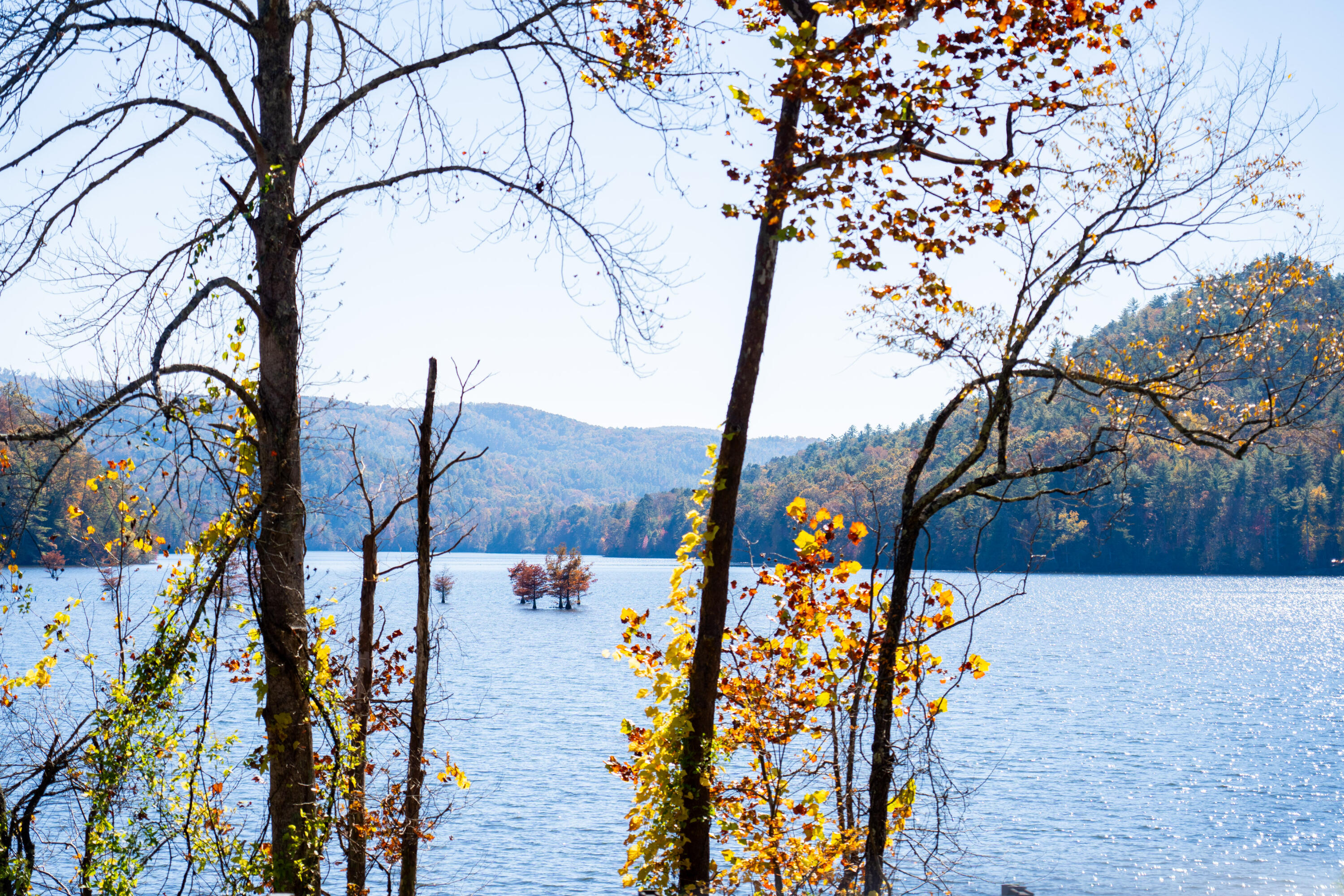 785 Chestnut Mountain Road Reliance, TN 37369 - Photo 68 of 68 785-Chestnut-Mountain-Rd-High-Res-Photos