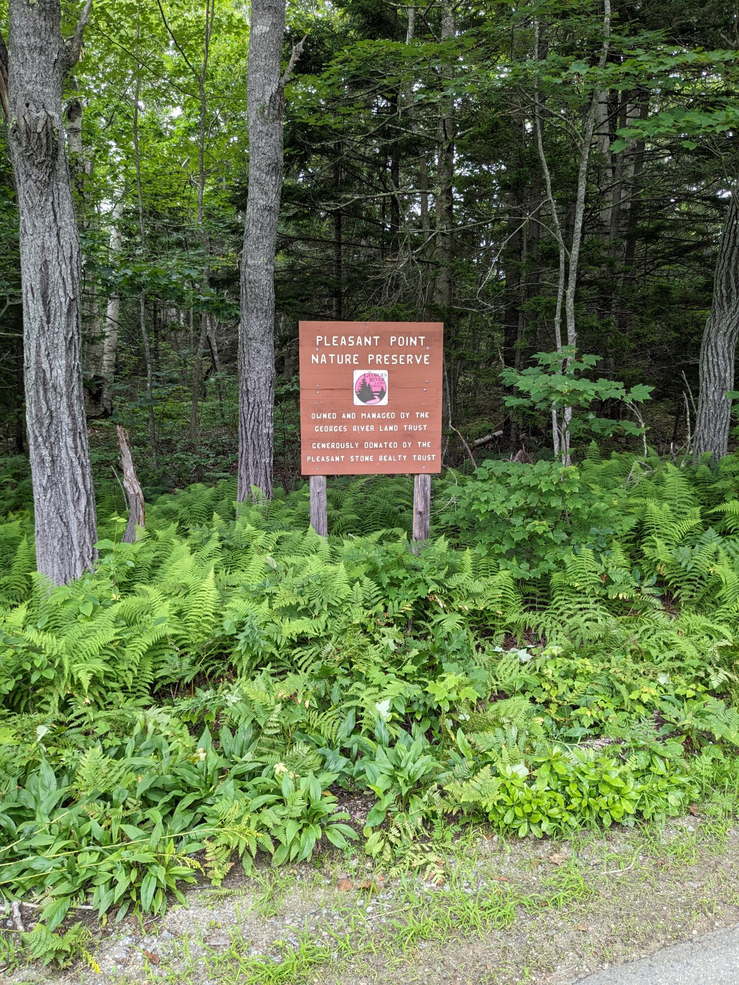 341 Stones Point Road Cushing, ME 04563 - Photo 32 of 33 PXL_20230718_152142890