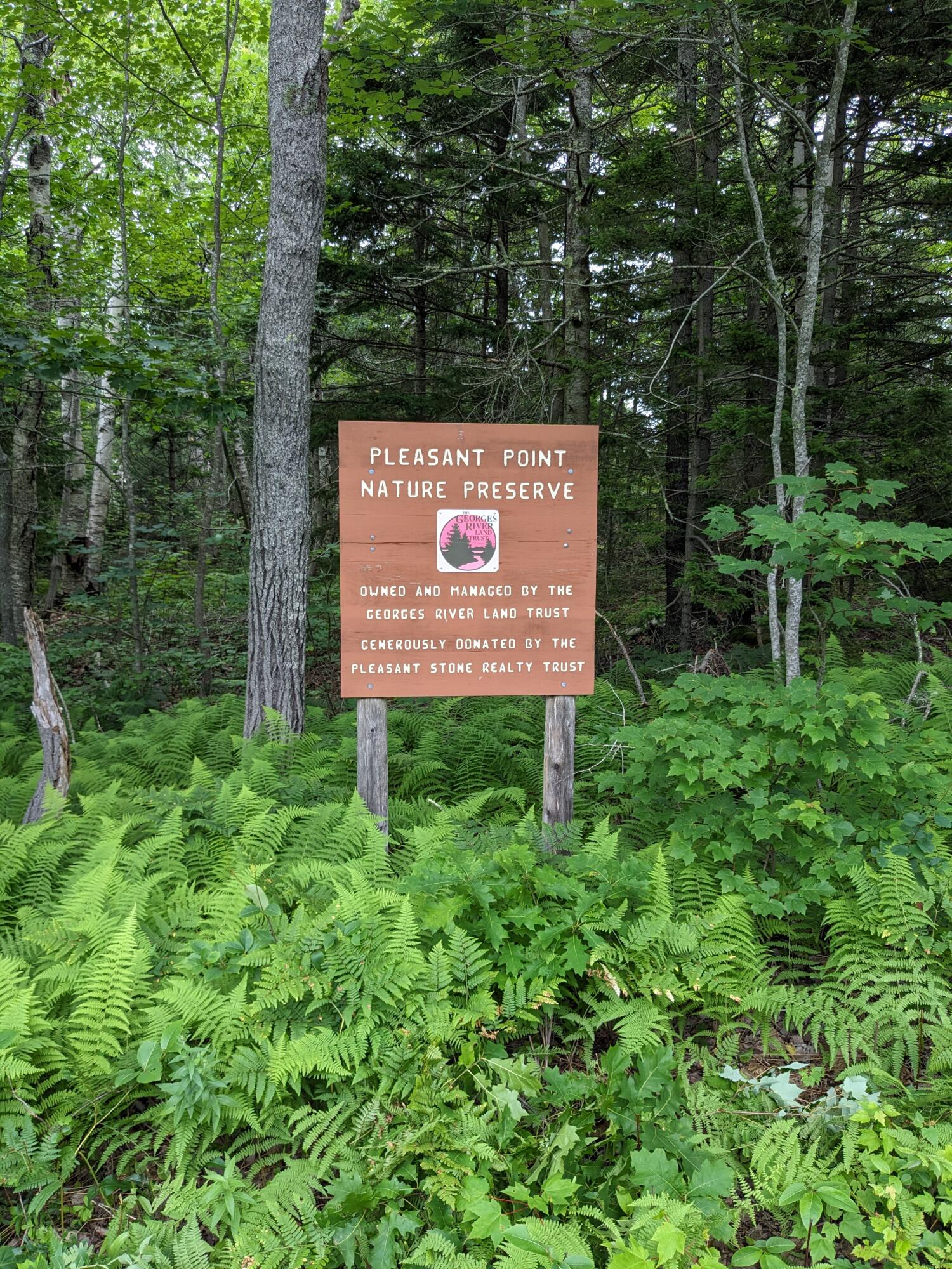 341 Stones Point Road Cushing, ME 04563 - Photo 33 of 33 PXL_20230718_152148458