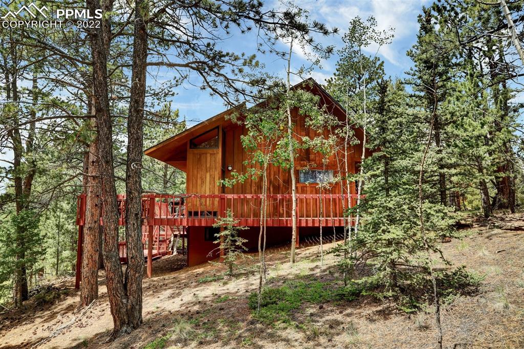 756 Spring Valley Drive Divide, CO 80814 - Photo 2 of 50 a view of outdoor space and yard