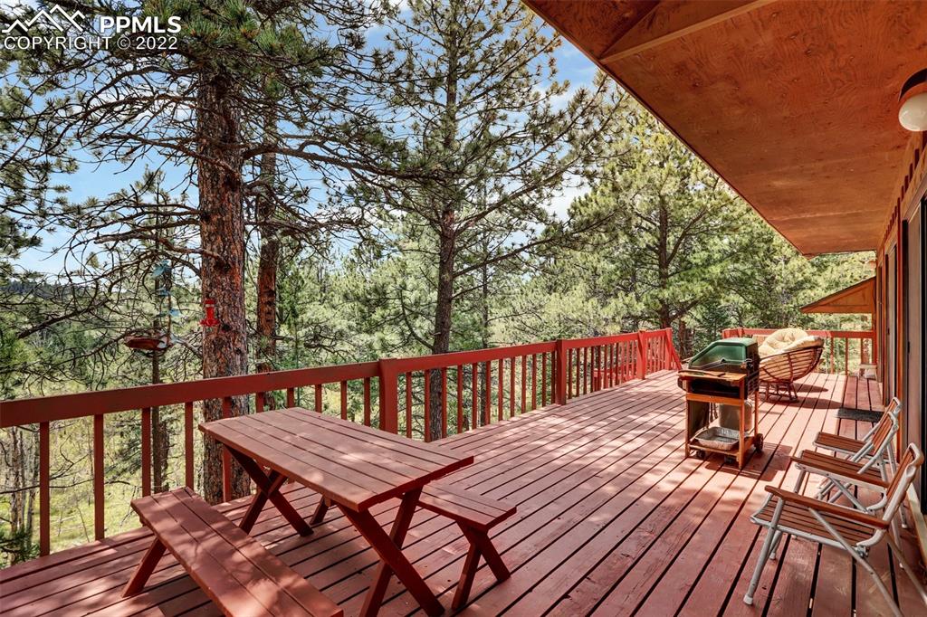 756 Spring Valley Drive Divide, CO 80814 - Photo 21 of 50 a view of a patio on wooden deck