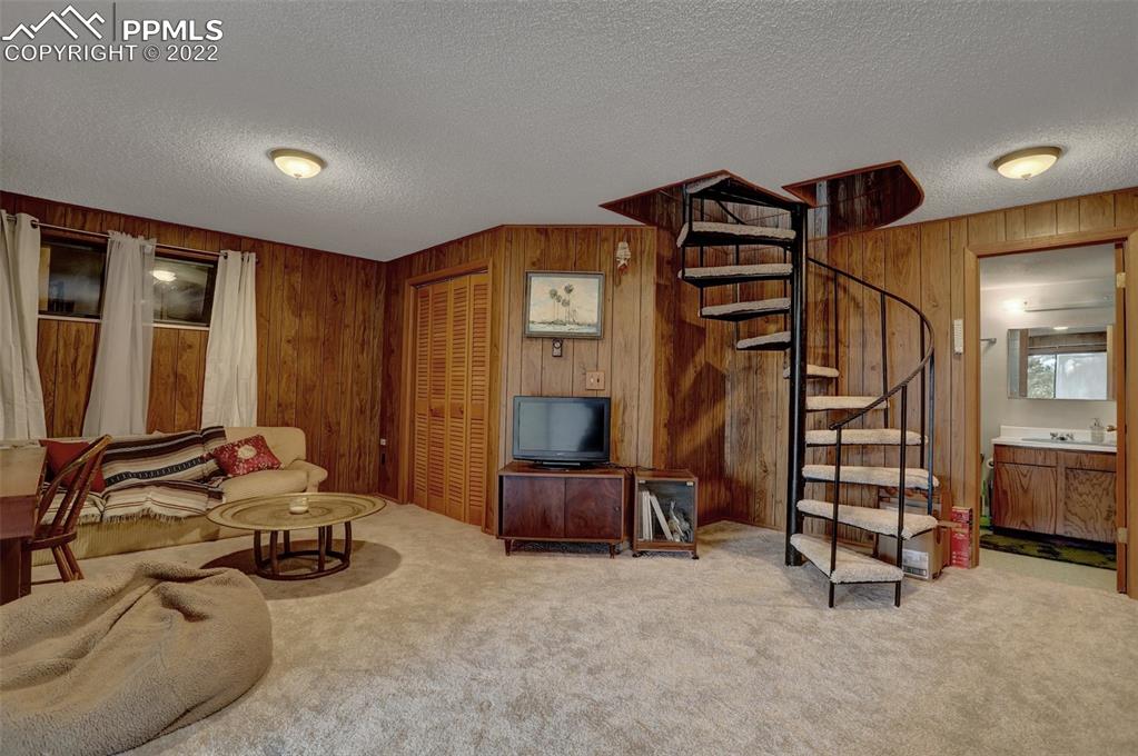 756 Spring Valley Drive Divide, CO 80814 - Photo 29 of 50 a view of a livingroom with furniture and gym equipment