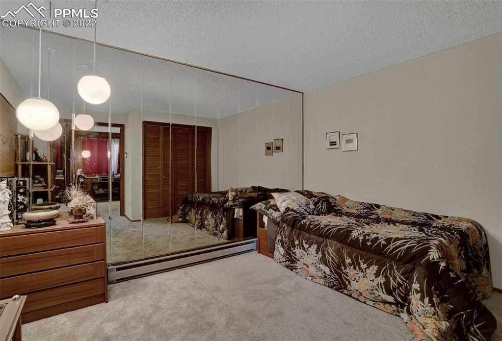 756 Spring Valley Drive Divide, CO 80814 - Photo 30 of 50 a bedroom with bed and a mirror