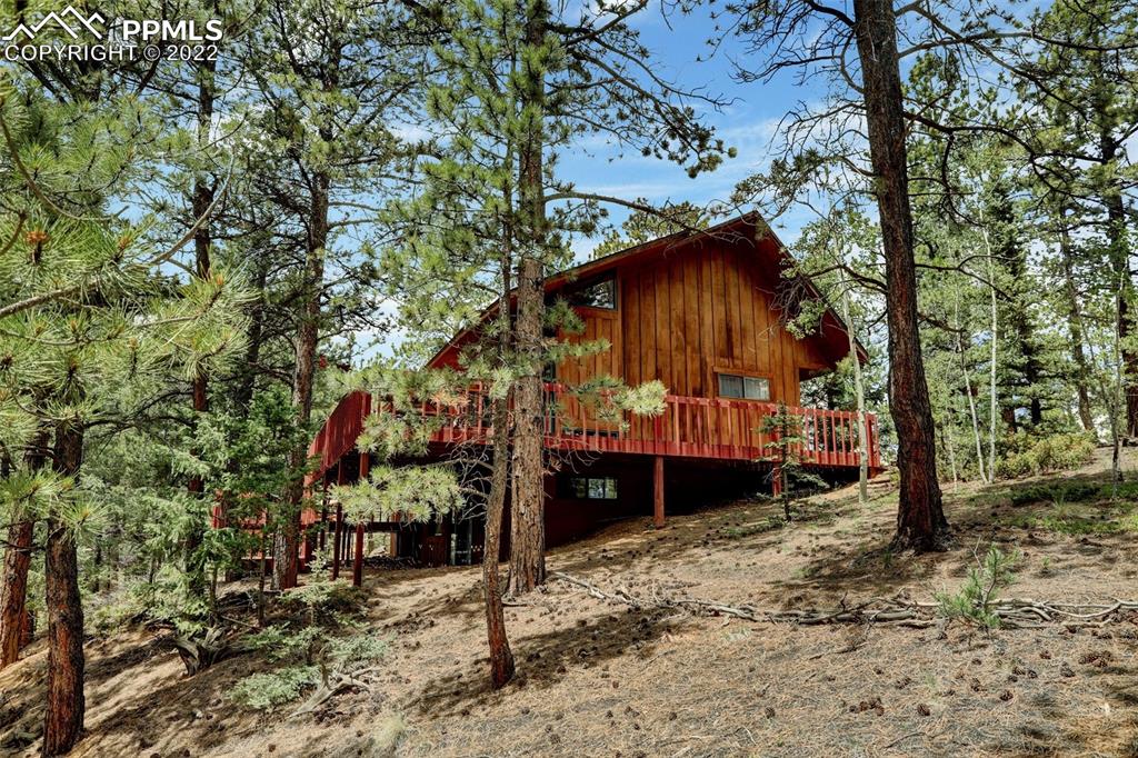 756 Spring Valley Drive Divide, CO 80814 - Photo 3 of 50 a view of a house with a yard and tree