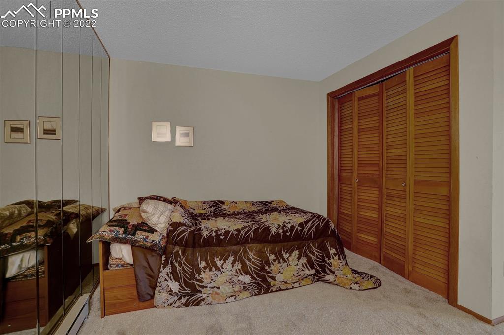 756 Spring Valley Drive Divide, CO 80814 - Photo 31 of 50 a bedroom with a bed and a window