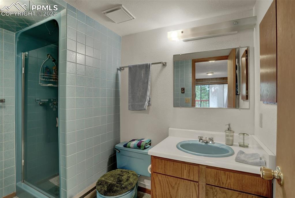 756 Spring Valley Drive Divide, CO 80814 - Photo 32 of 50 a bathroom with a sink and a mirror
