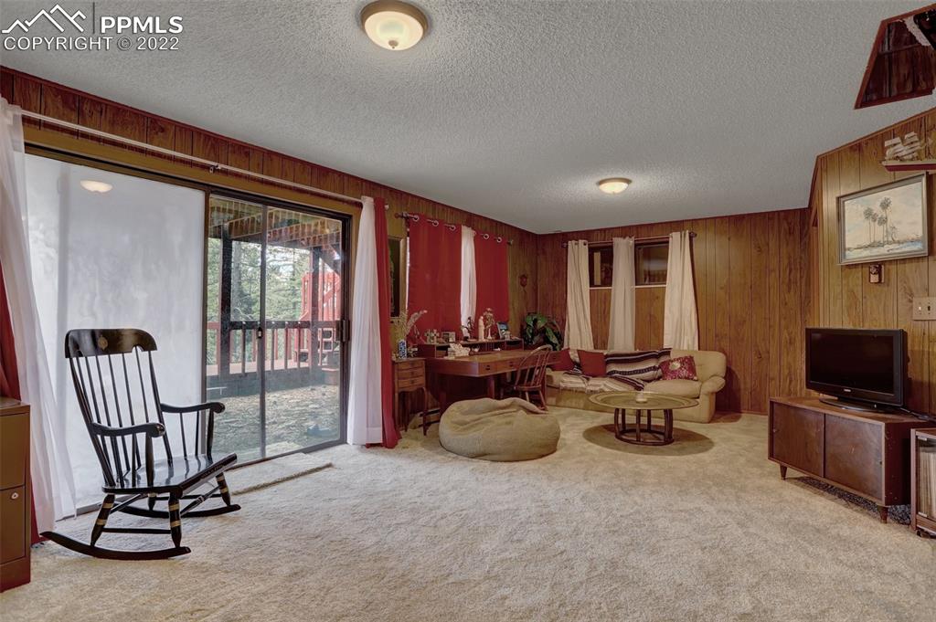 756 Spring Valley Drive Divide, CO 80814 - Photo 35 of 50 a view of a room with gym equipment