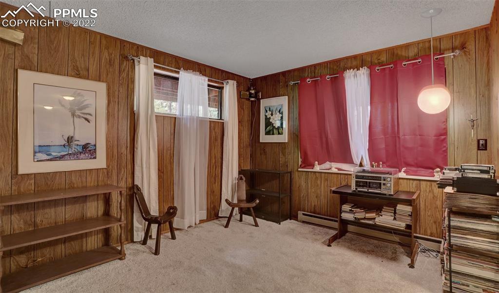756 Spring Valley Drive Divide, CO 80814 - Photo 36 of 50 a view of a room with gym equipment