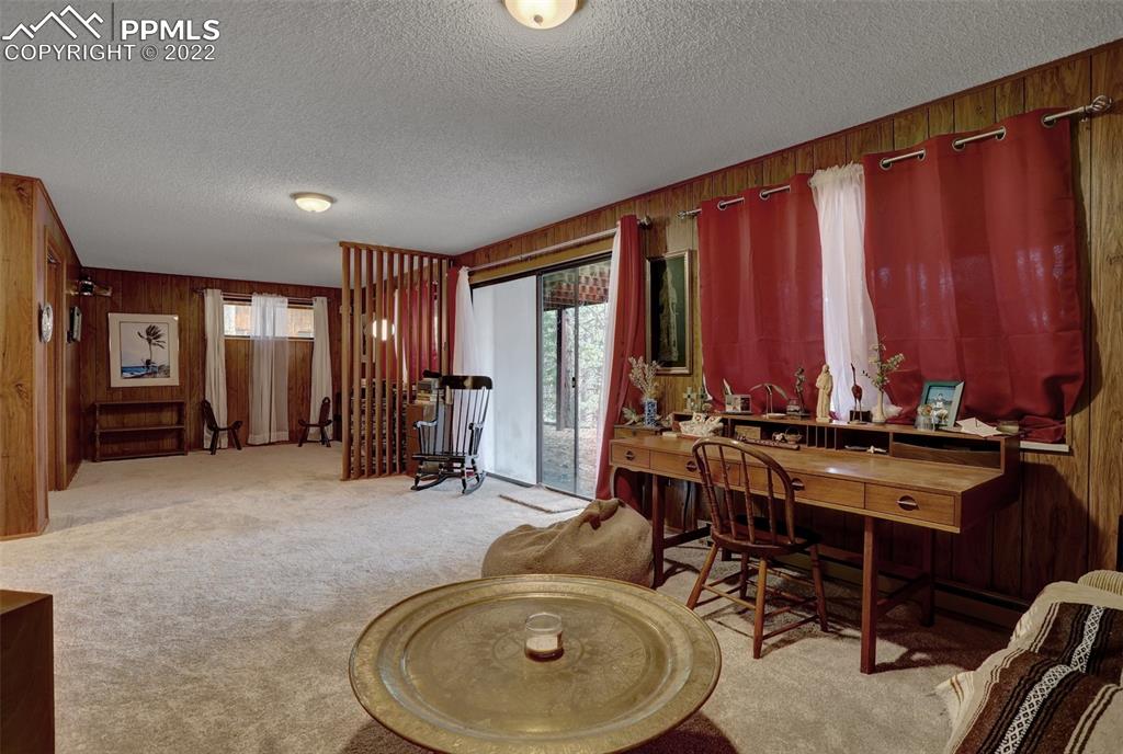 756 Spring Valley Drive Divide, CO 80814 - Photo 37 of 50 a view of a room with furniture and window