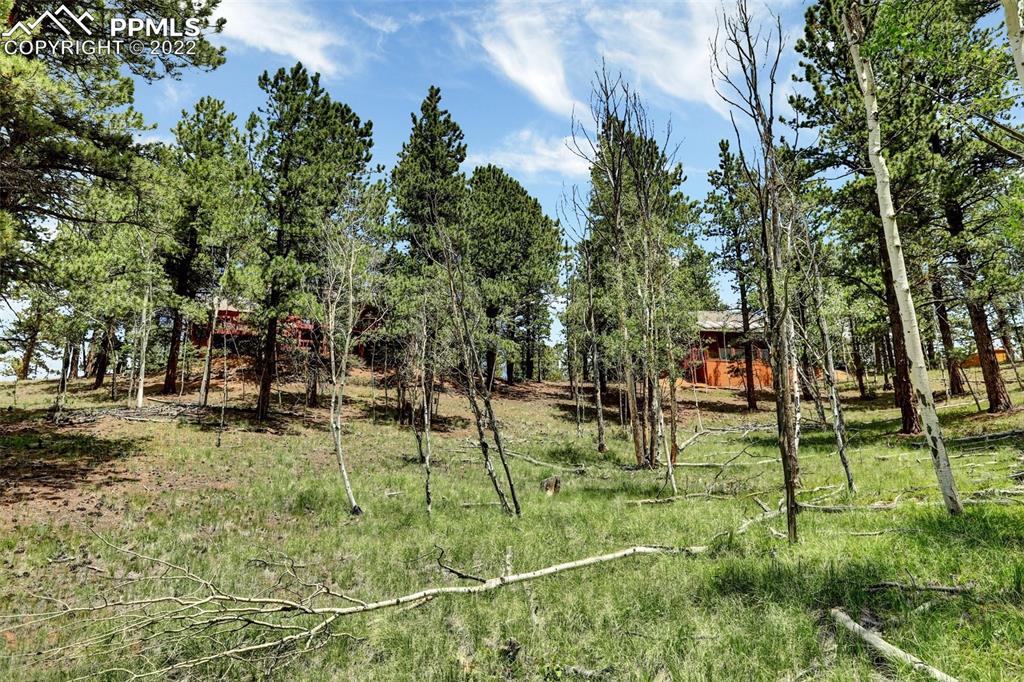 756 Spring Valley Drive Divide, CO 80814 - Photo 40 of 50 a view of a park with swings