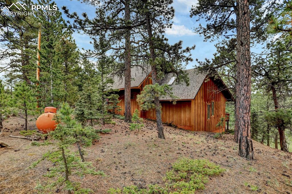 756 Spring Valley Drive Divide, CO 80814 - Photo 4 of 50 a backyard of a house with lots of green space