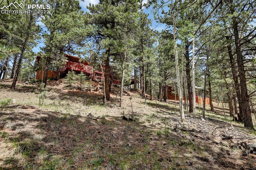 756 Spring Valley Drive Divide, CO 80814 - Photo 45 of 50 a backyard of a house with lots of green space