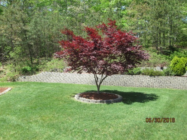 3 Telegraph Hill Road Sandwich, MA 02563 - Photo 5 of 24 Gallery Image 5