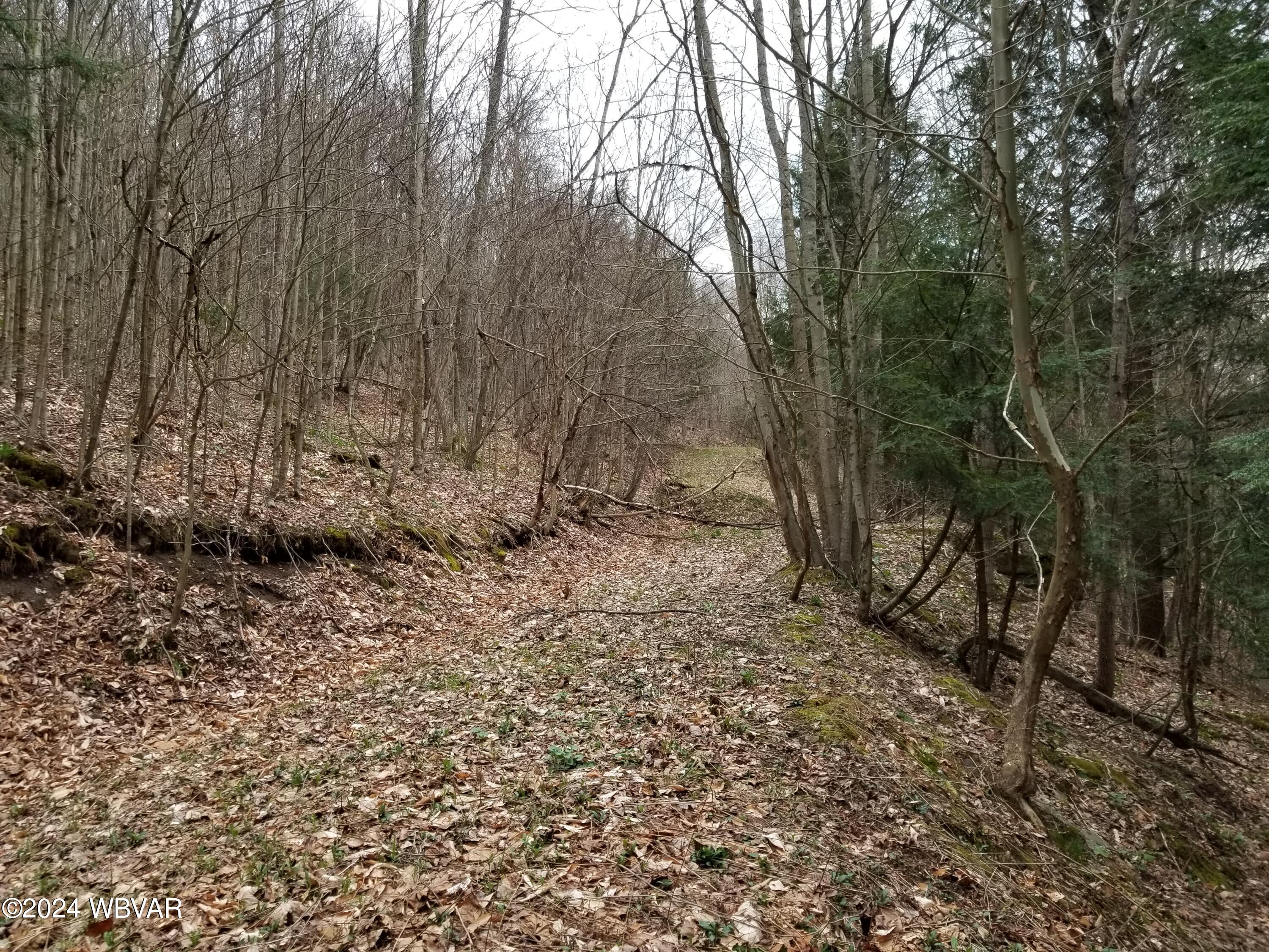Creek Road Dushore, PA 18614 - Photo 3 of 19 Gallery Image 3