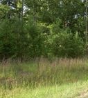 10701 Chattsworth Road Midland, GA 31820 - Photo 4 of 4 Gallery Image 4