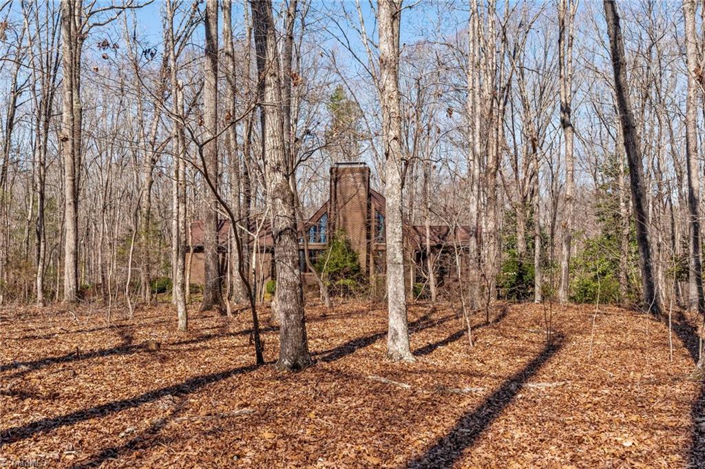 581 Swicegood Waitman Road Lexington, NC 27295 - Photo 2 of 48 Gallery Image 2