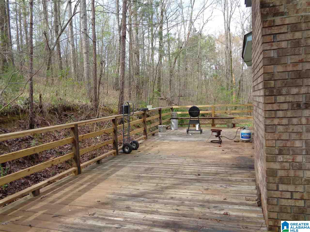 435 Williams Road Jasper, AL 35503 - Photo 3 of 34