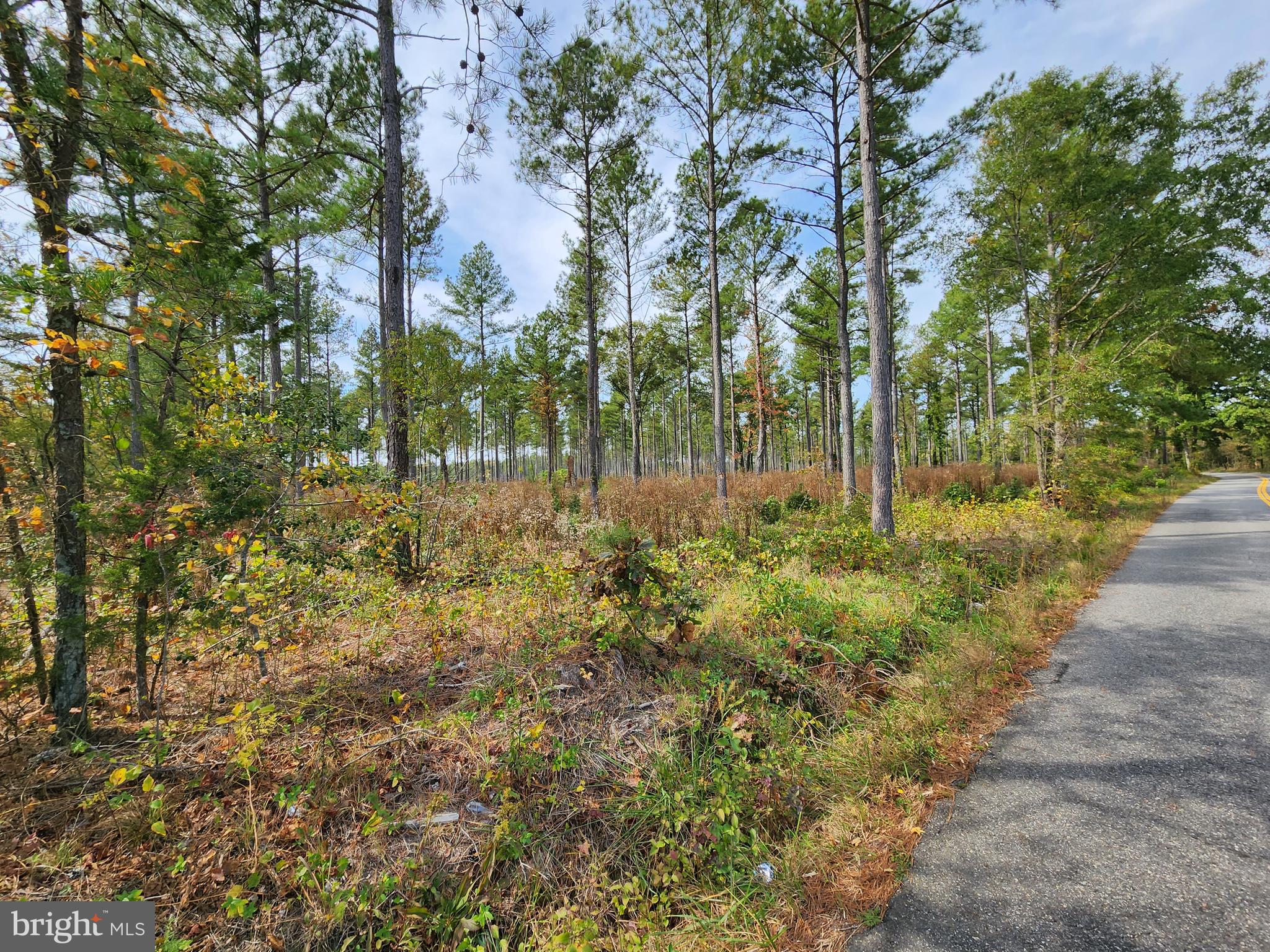 20621 Beaver Dam Road Beaverdam, VA 23015 - Photo 2 of 7