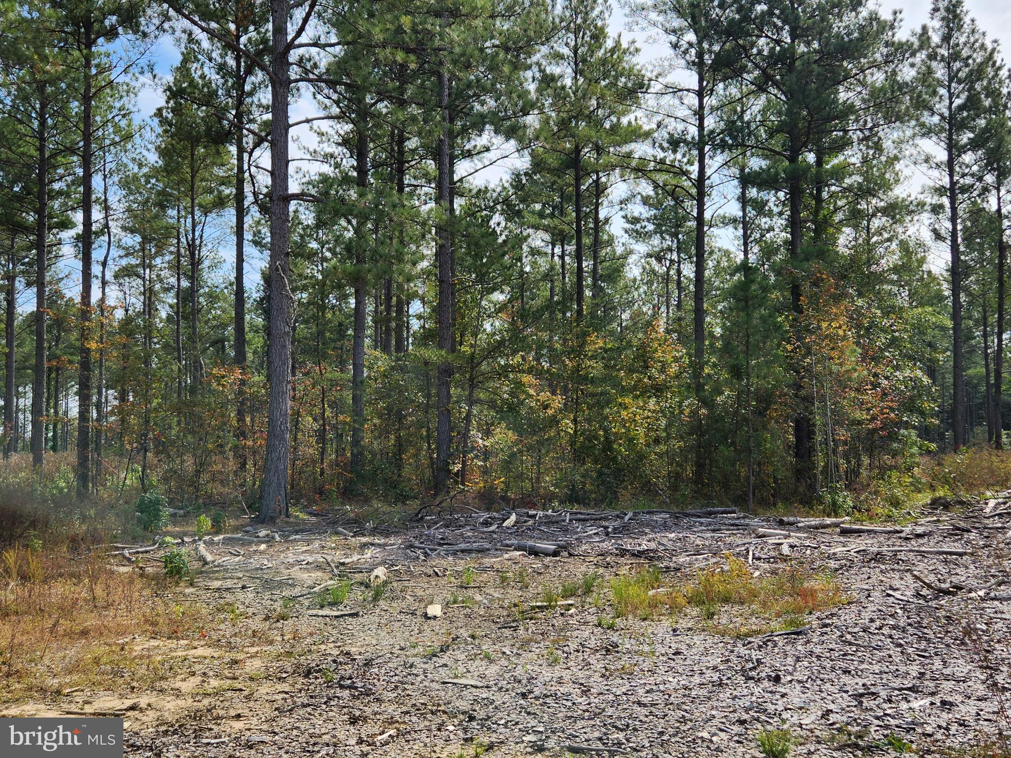 20621 Beaver Dam Road Beaverdam, VA 23015 - Photo 4 of 7