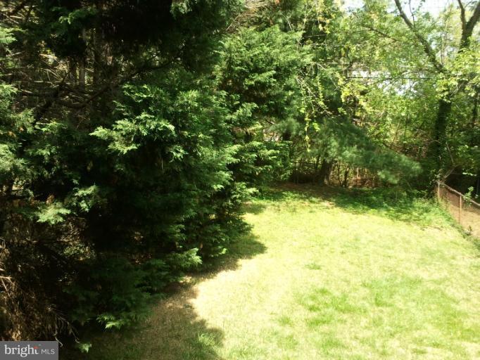 790 Charing Cross Road Baltimore, MD 21229 - Photo 5 of 14 a view of a yard with plants
