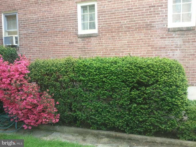 790 Charing Cross Road Baltimore, MD 21229 - Photo 6 of 14 a view of a house with a garden