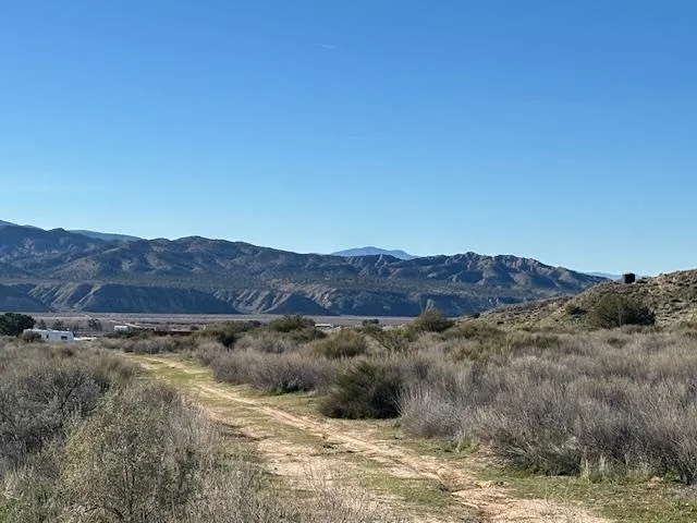 a view of a lush green hillside and a houses