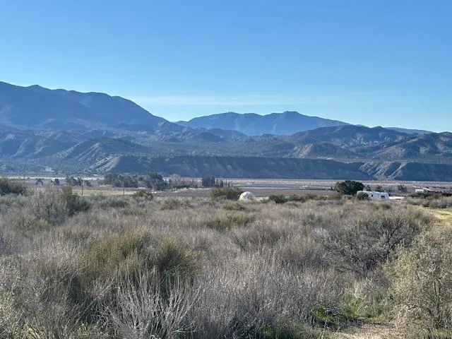 a view of a dry field with trees in the background
