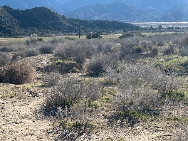 520 Quatal Canyon Road Maricopa, CA 93252 - Photo 14 of 16