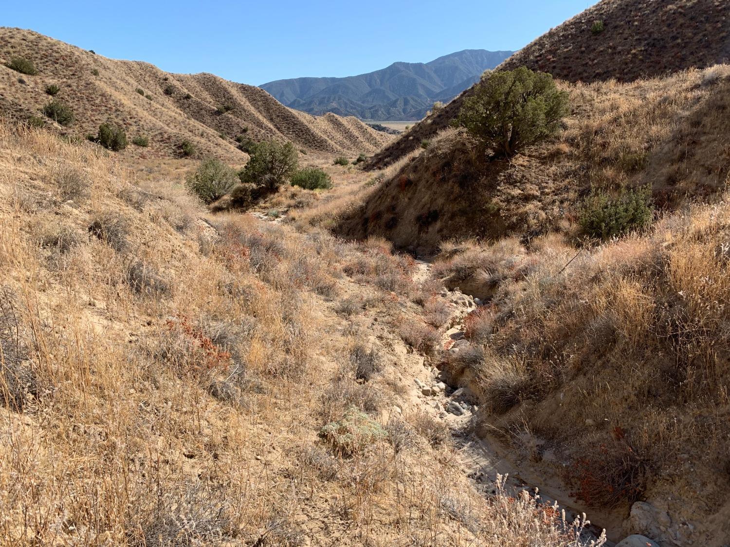 520 Quatal Canyon Road Maricopa, CA 93252 - Photo 2 of 16