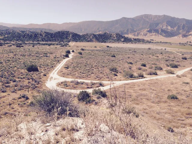 a view of a dry dry field with mountains in the background