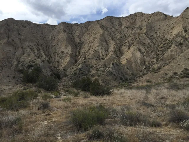 a view of a dry field with mountains in the background