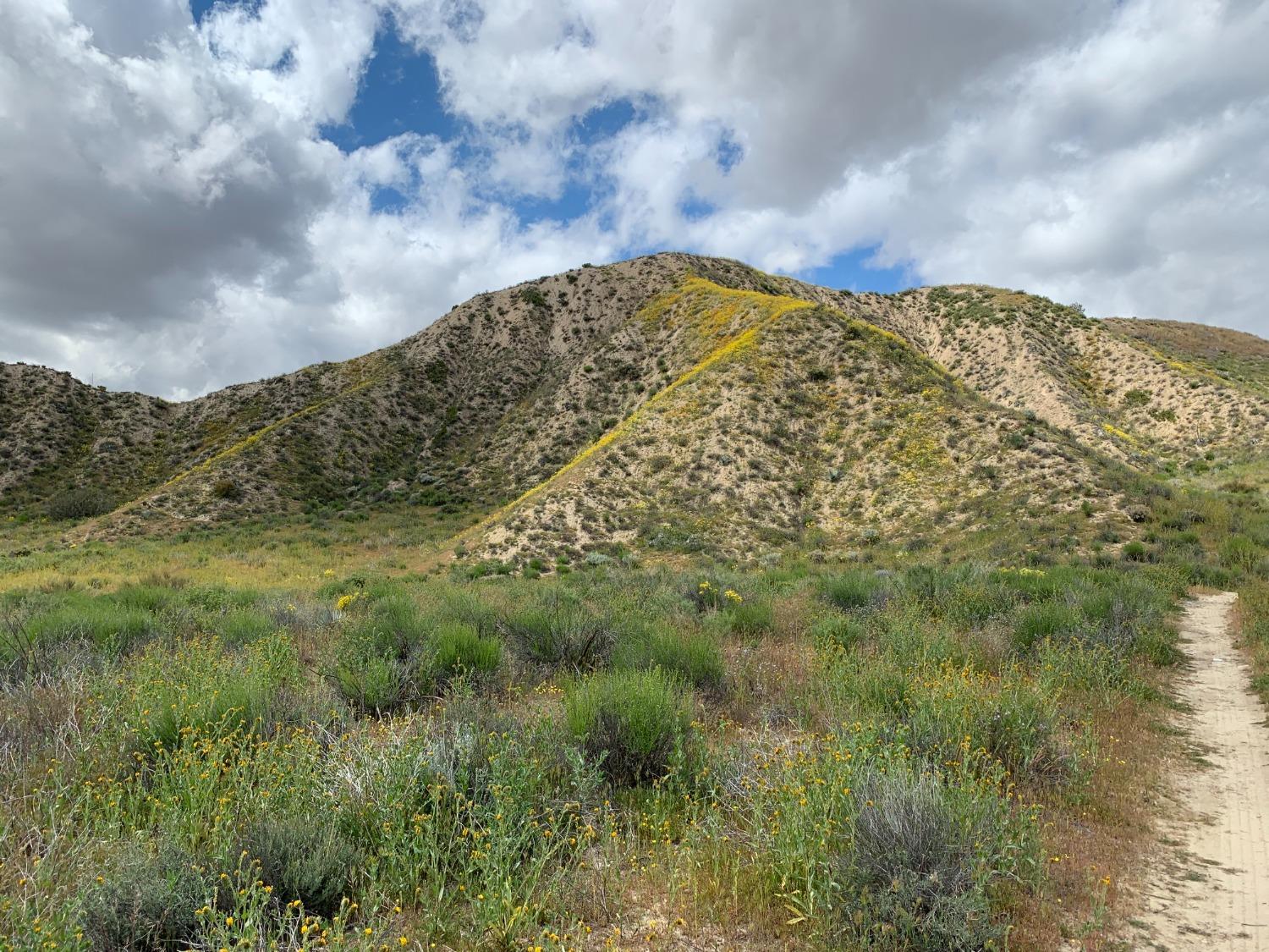 520 Quatal Canyon Road Maricopa, CA 93252 - Photo 7 of 16