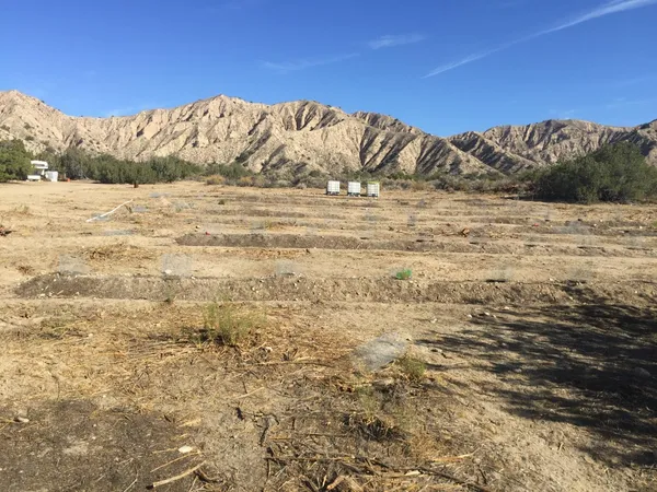 $500,000 | 520 Quatal Canyon Road, Maricopa, CA 93252