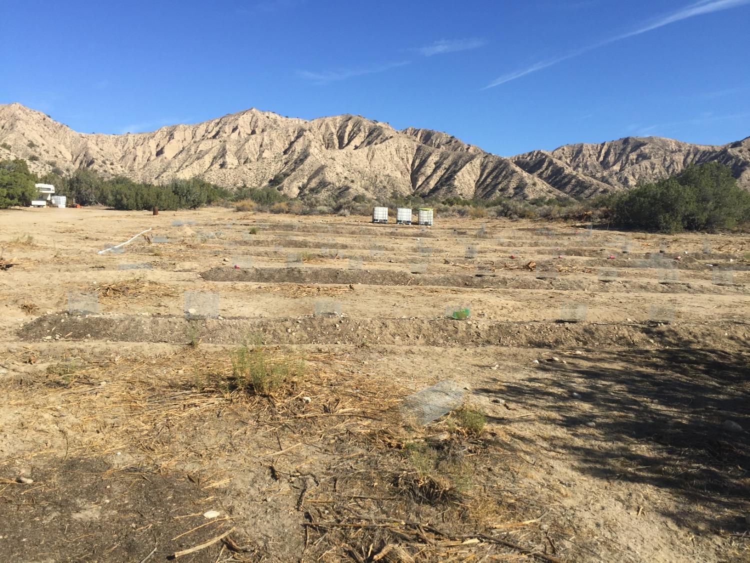 520 Quatal Canyon Road Maricopa, CA 93252 - Photo 8 of 16