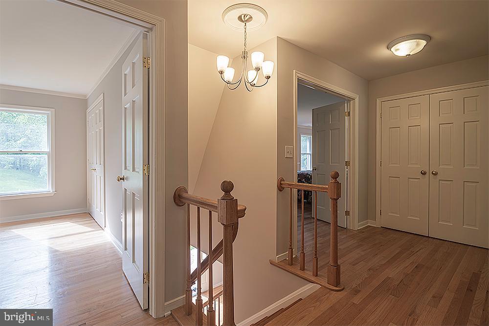 1427 Autumn Leaf Road Baltimore, MD 21286 - Photo 33 of 43 Gallery Image 33