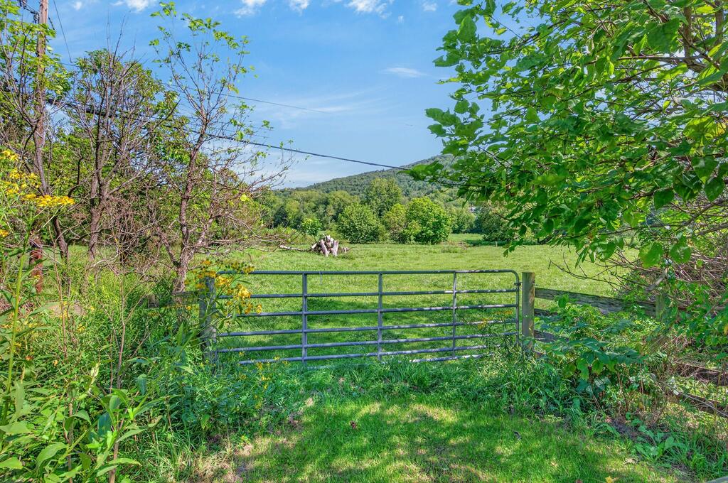 Tbd Peppers Ferry Road, Unit TRACT 4 Wytheville, VA 24382 - Photo 63 of 63 Gallery Image 63