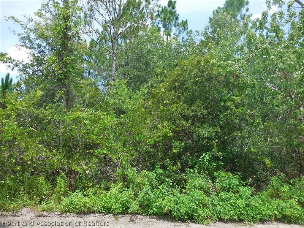 39 Kelly Ridge Road Frostproof, FL 33843 - Photo 3 of 4