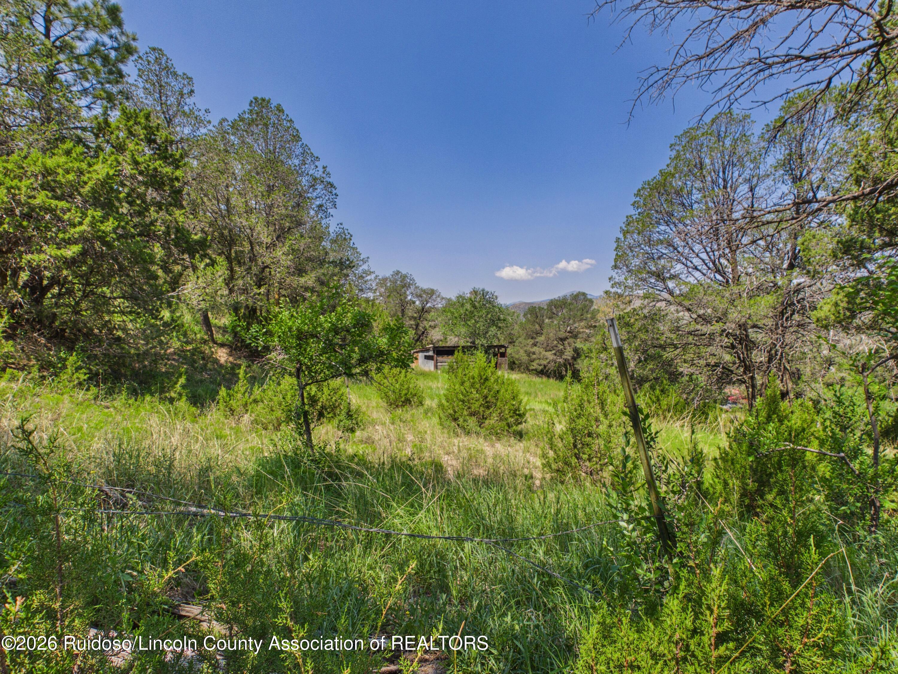 208 Spring Road Ruidoso Downs, NM 88346 - Photo 15 of 19 Gallery Image 15