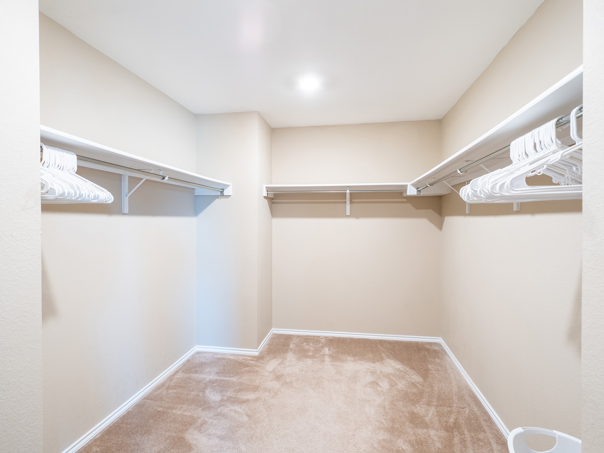 104 Rocroi Drive Georgetown, TX 78626 - Photo 18 of 40 Ample hanging rods and shelving optimize storage within this carpeted walk-in closet.