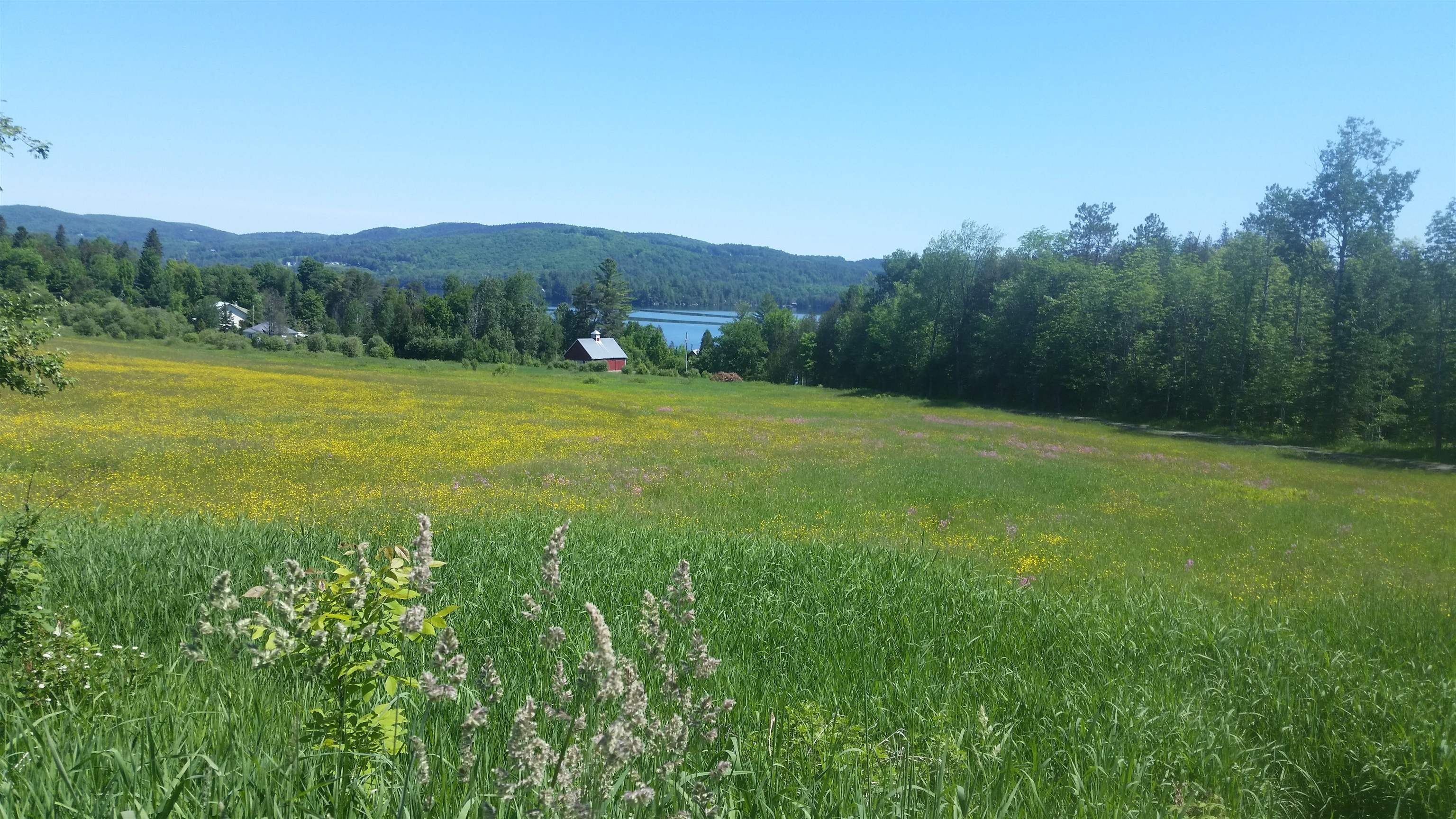 699 Lake Shore Road Greensboro, VT 05841 - Photo 7 of 8 Gallery Image 7